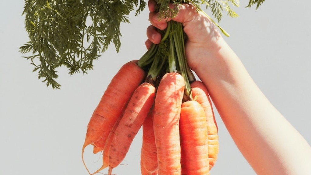 Is Carrot Good For Kidney Stones